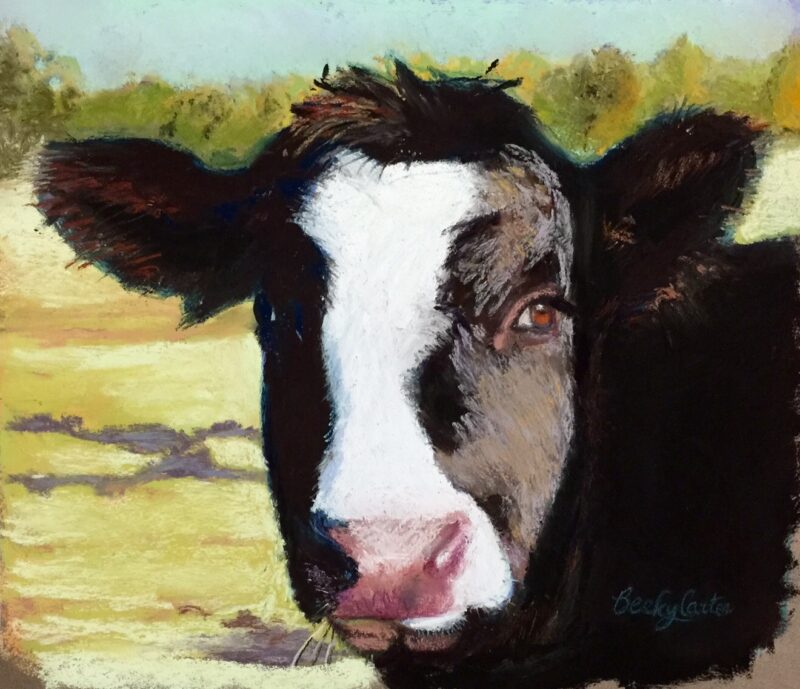 Mac’s Cow