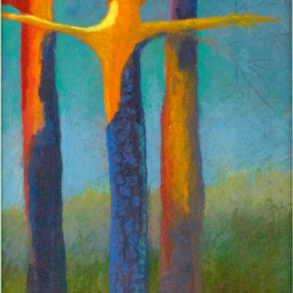 Trinity Trees
